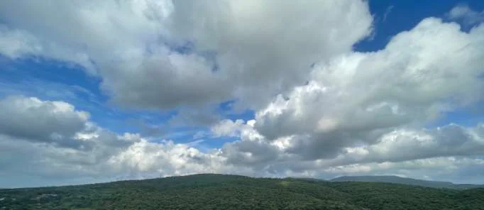 Sanjay Gandhi National Park